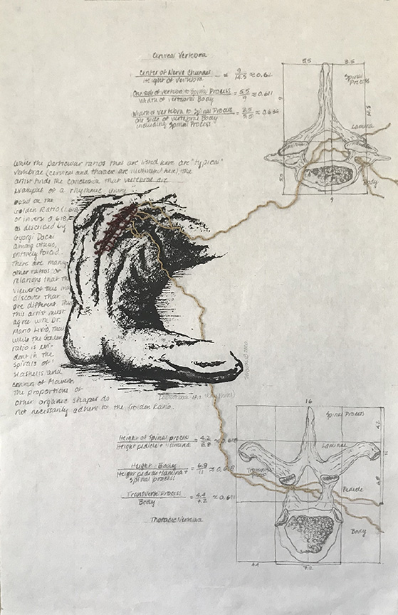 Kathy Strauss print, Lab Notebook 17.2 Raw Nerves