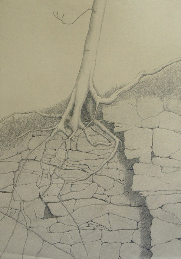 Kathy Strauss drawing, Exposed 1