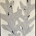 Mourning Tree 3