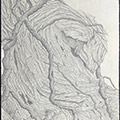 Mourning Tree 3