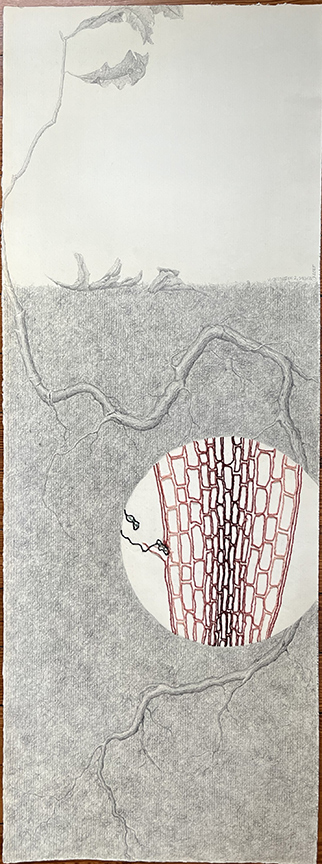 Kathy Strauss drawing, Viral Invasion 2