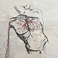Bleeding Out (Human)