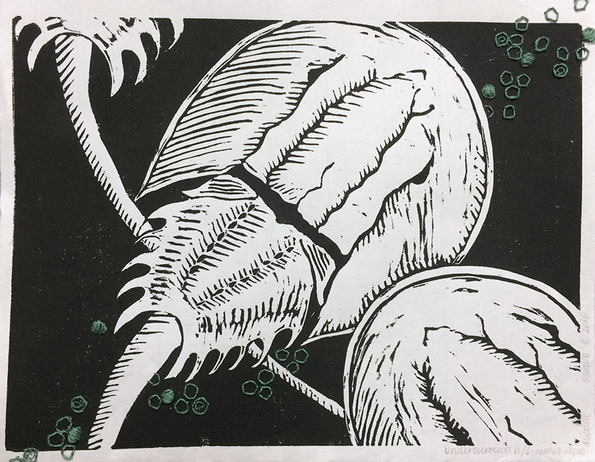 Kathy Strauss print, Undercurrents 11, Limulus Reproduction