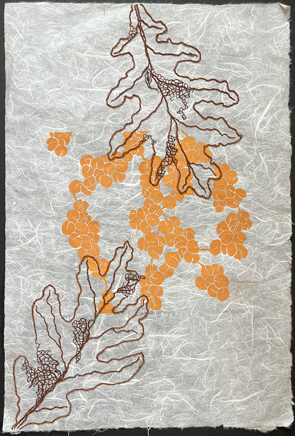 Kathy Strauss print, White Oak Catkins, Decaying